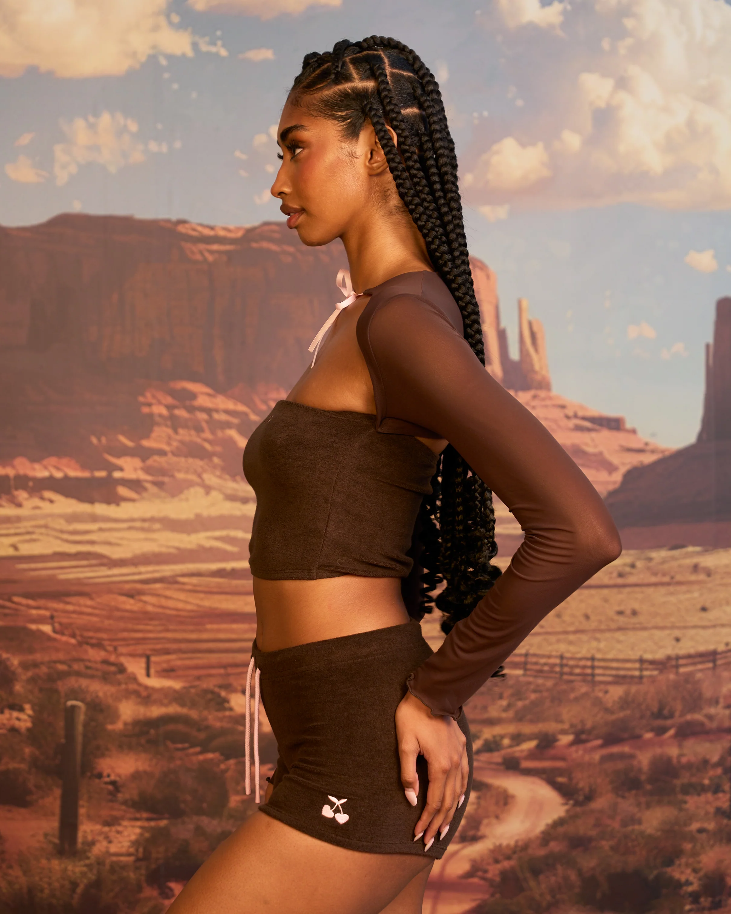 Bibi Top in Brown - Image 5